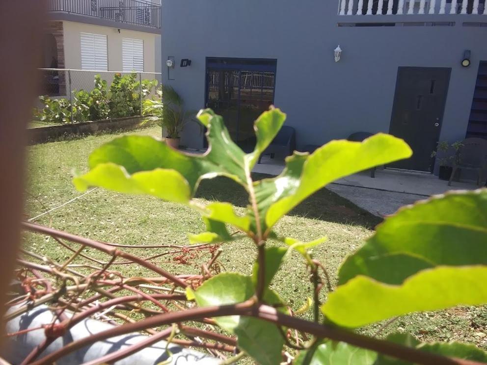 Labadie Apartment Aguadilla Exterior photo